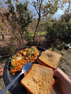 Basecamp Manali - 1
