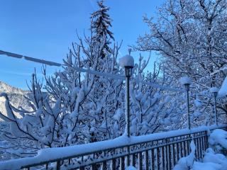 Anano's House - Borjomi - 2