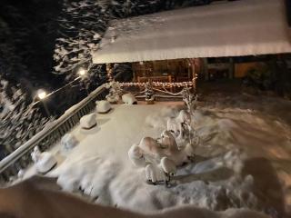 Anano's House - Borjomi - 3