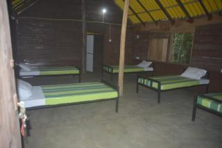 Forest Camping Fun Hostel - 0