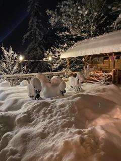 Anano's House - Borjomi - 4