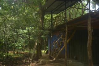 Forest Camping Fun Hostel - 4