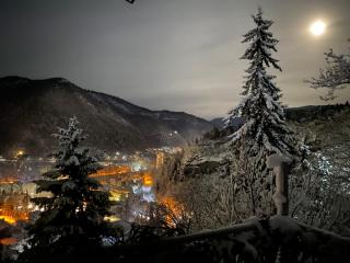 Anano's House - Borjomi - 7