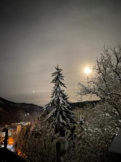 Anano's House - Borjomi - 8