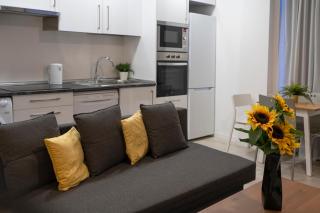 Oshun Plaza Castilla - 5