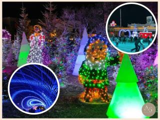 Cocon Marine-Piscine-Vue Lac-Restaurants, commerces-Calme - 7