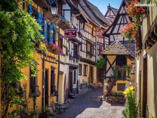 Gîte Les Bleuets - Eguisheim - 2