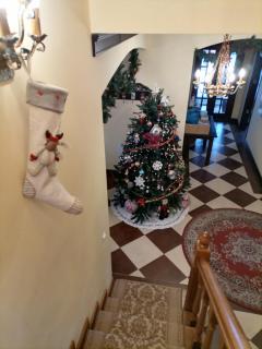 Zolota Pidkova & Forest - 2