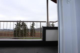 Dream Home - Renningen - 3