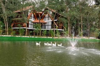 Wayanad Vista Palm View Villas - Padinjarathara - 7