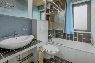 Rietpanne Gv06 - Sint-Idesbald - 2