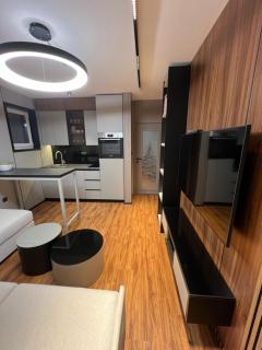 Premium Apartment1 Divcibare - Divčibare - 6