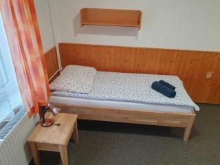 Hotel a Penzion PEGAS - Vlachovice - 2