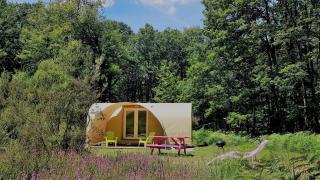 Camping Bois de St Hilaire - Chalandray - 9