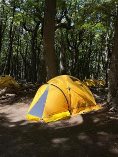 FITZ CAMP - Glamping agreste - Base Cerro Fitz Roy - 6
