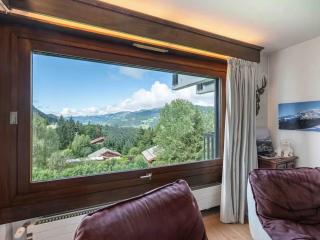 Appartement Mont d Arbois Megeve sur les pistes de ski - Megève - 5