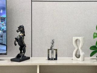 استديو مودرن في الشمال بطابع فني والوان هادئة - 2