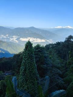 Chamling Retreat - Kalimpong - 6