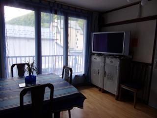 petit appartement cosy - 5