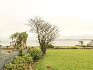 Bryn Teg Cottage - 0
