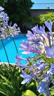 Posada Villa club, Apart 3 cerca del aeropuerto el Palomar - 2