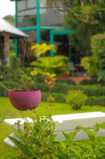 Hotel Isla Verde - Boquete - 5