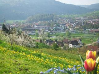 Schlossberghof - Haslach im Kinzigtal - 7
