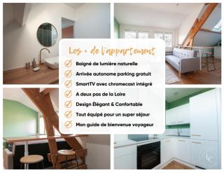 Lumineux T3 à deux pas du centre et de la Loire - 70 m2 - Orléans - 8