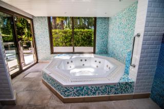 Calme absolu, élégant et arboré avec piscine - Cannes - 9
