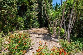 Calme absolu, élégant et arboré avec piscine - Cannes - 7