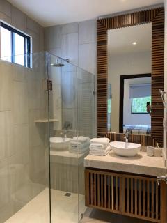 Gran dpto de lujo PLAYA - 4