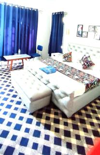 Waneposh - Srinagar - 8