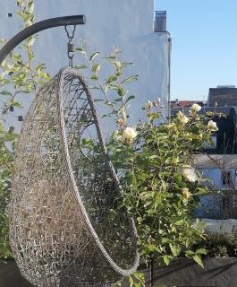 Appartement Strasbourg ville - Strasburgo - 7