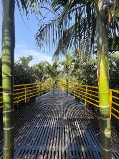 GandhadaGudi Nature Retreat - Bangalore - 5