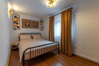 Kaya Charming 2-Bedroom Apartment - Braşov - 9