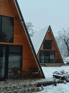 The Frog Glamping - Horezu - 7