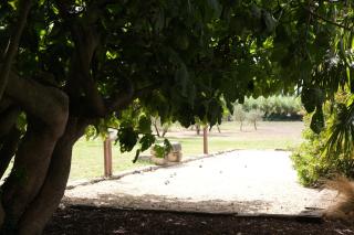 Authentique mas avec vue et piscine Eygalieres LS1-447 - Eygalières - 1