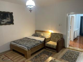 Casa Crisan - Topliţa - 5