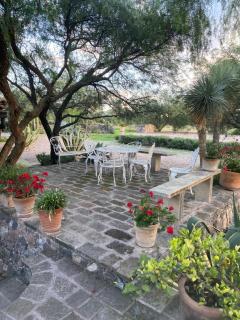 Country Retreat on 14 acres - Canalejo - 5