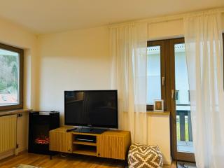 Ferienwohnung Panoramablick - super für deine Familie und die besten Aussicht in ganz Todtmoos - Todtmoos - 1