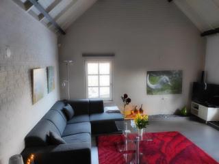 Room to rent with own entrance, living room and bathroom - Blitterswijck - 7