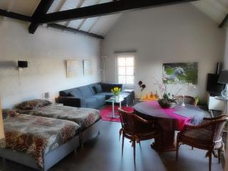 Room to rent with own entrance, living room and bathroom - Blitterswijck - 1