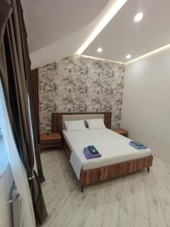 Qabala Villa Modern - Gabala - 5