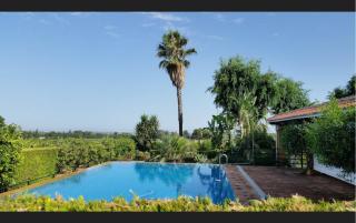 Casa de campo con piscina junto a Sevilla - Mairena del Alcor - 2