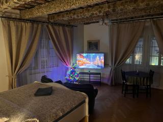 At the Blue Lion & Parking Assistance - 3