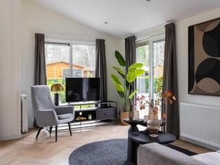 Lodge in Netherlands with Furnished Terrace - 3