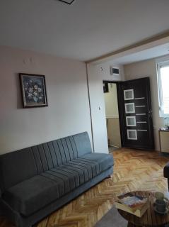 Dona Apartments 1 - Niš - 6