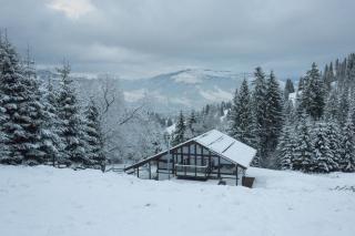 Alpine Lounge - Vatra Dornei - 8