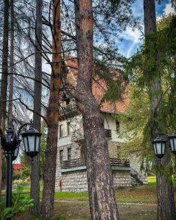 Borova Oaza - Zlatibor - 4