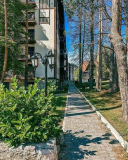 Borova Oaza - Zlatibor - 3